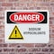 Signmission Sodium Hypochlorite Danger Sign, Plastic, 10in W x 7in L, 2PK OS-2PACK-DS-P-710-L-1577 - alternate 7